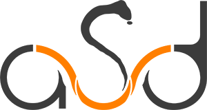 Advanced Spatial Design